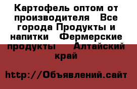 Картофель оптом от производителя - Все города Продукты и напитки » Фермерские продукты   . Алтайский край